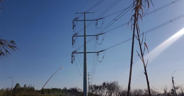 “La Argentina podría lograr un ahorro de alrededor de u$s 2000 millones en energía”