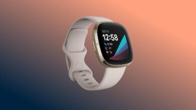 La línea de wearables 2022 de Fitbit podría verse así