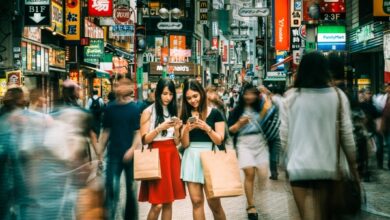 La unidad japonesa de Animoca Brands recauda $ 45 millones a una valoración de $ 500 millones para el impulso de NFT