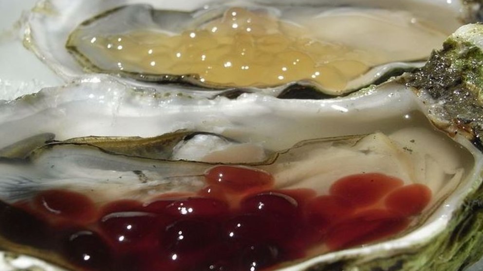 Las 5 comidas afrodisíacas más extrañas del mundo