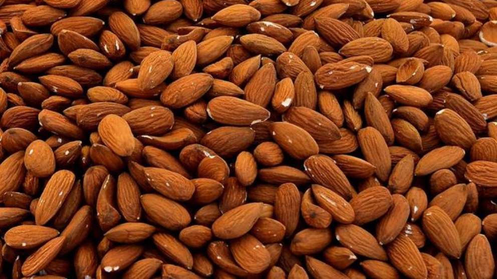 Las castañas, el fruto seco más saludable del mundo