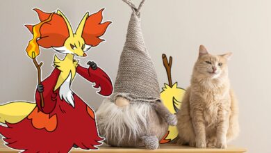 Pokemon Abilities We Wish Our Pets Had In Real Life Magician Cat And Delphox