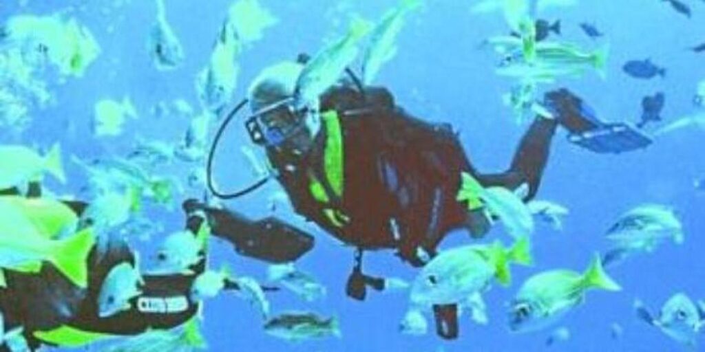 Los 10 destinos más espectaculares en España para bucear