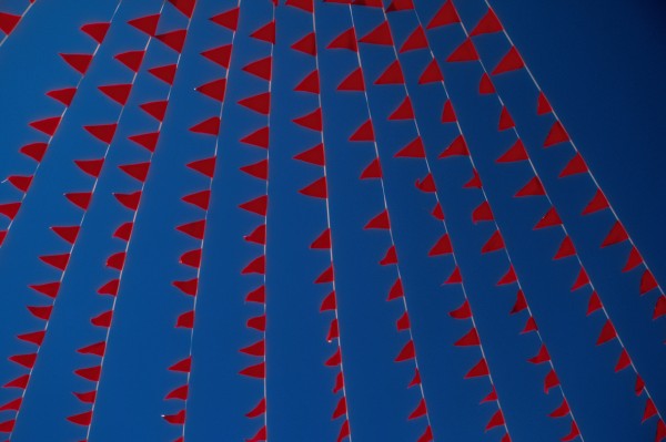 Los inversores detallan sus banderas rojas (y verdes) para las nuevas empresas que buscan dólares de riesgo