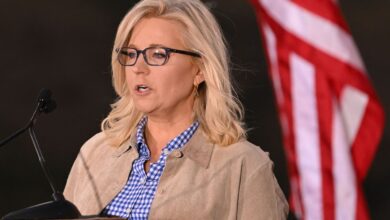 Los republicanos castigan con dureza a Liz Cheney por su guerra con Trump