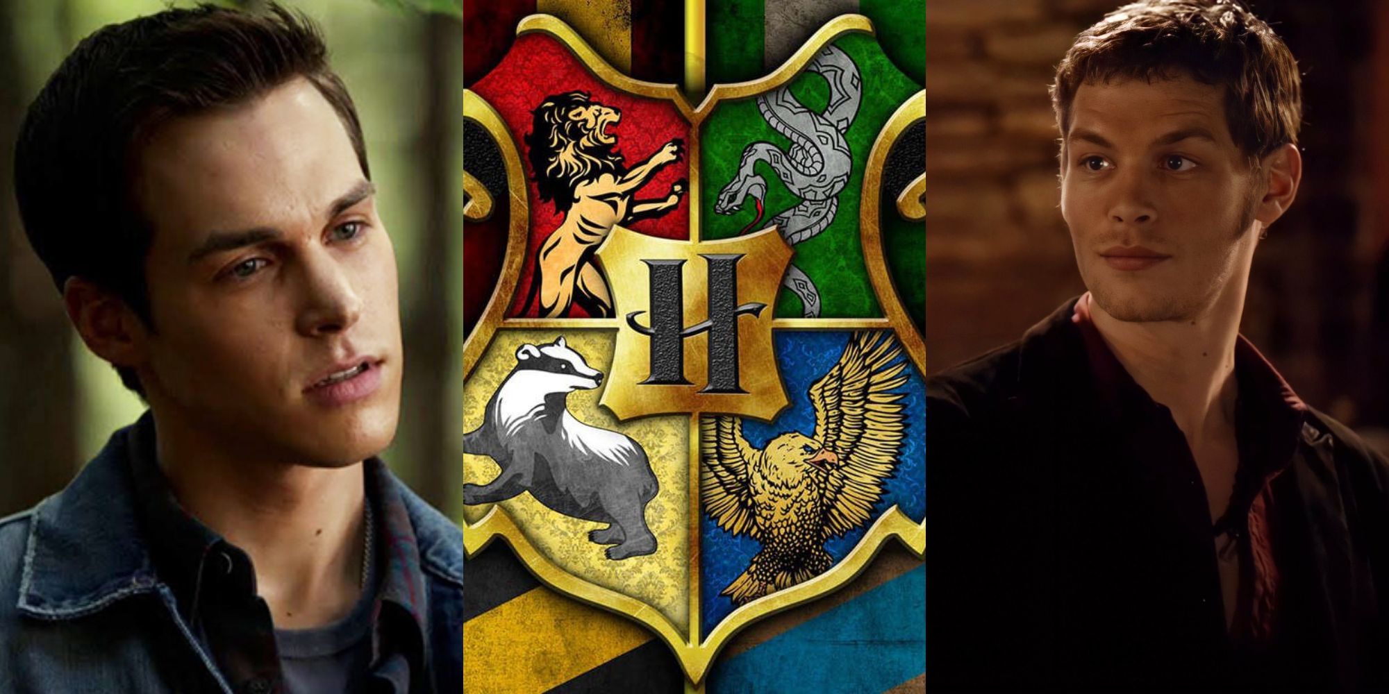 Los villanos de The Vampire Diaries clasificados en sus casas de Hogwarts