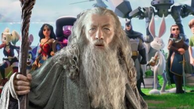 MultiVersus Leaker alega que Tolkein Estate está detrás de la eliminación de Gandalf