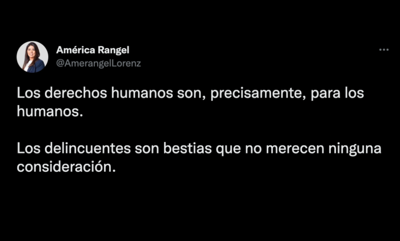 Panista señala que delincuentes son "bestias" que no merecen derechos humanos; AMLO y expertos critican postura