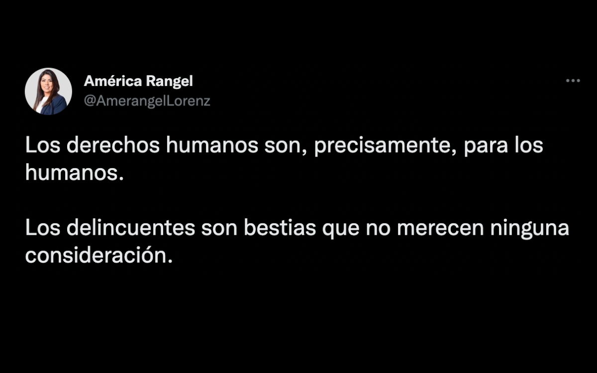 Panista señala que delincuentes son “bestias” que no merecen derechos humanos; AMLO y expertos critican postura