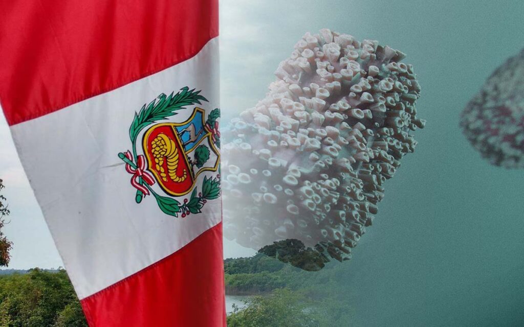 Perú reporta su primera muerte relacionada a la viruela del mono