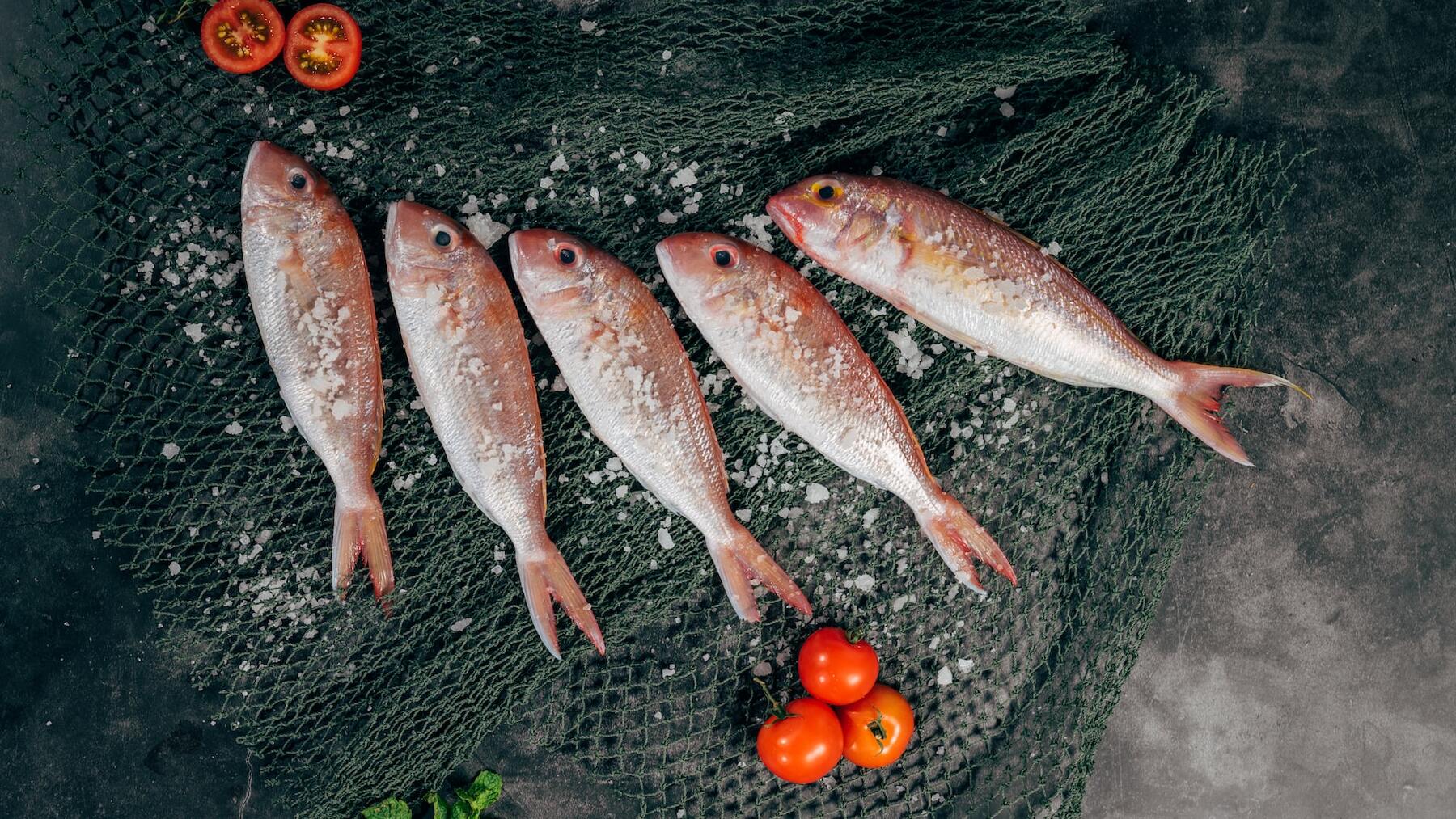 Pescado con olor a amoníaco: ¿qué pasa en tu cuerpo si lo comes?
