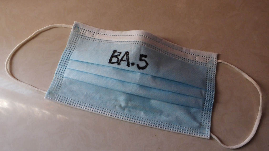 Pfizer pide autorización para refuerzo contra subvariantes de Ómicron