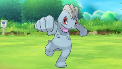 Pokémon GO: Guía Machop Raid (Mejores contadores y debilidades)