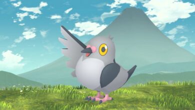 Pokémon GO: Guía de horas de atención de Pidove