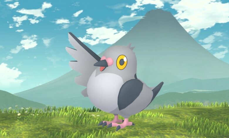Pokémon GO: Guía de horas de atención de Pidove