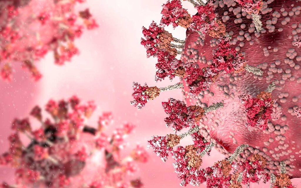 Reporta OMS más de un millón de muertes a nivel mundial por Covid-19 solo en 2022