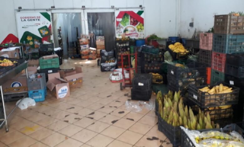 Rescatan a 9 indígenas tzotziles víctimas de trata en Nayarit; 2 eran menores de edad