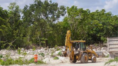 Revocaciones de amparo confirman que Tren Maya se desarrolla con apego a la normatividad ambiental: Semarnat