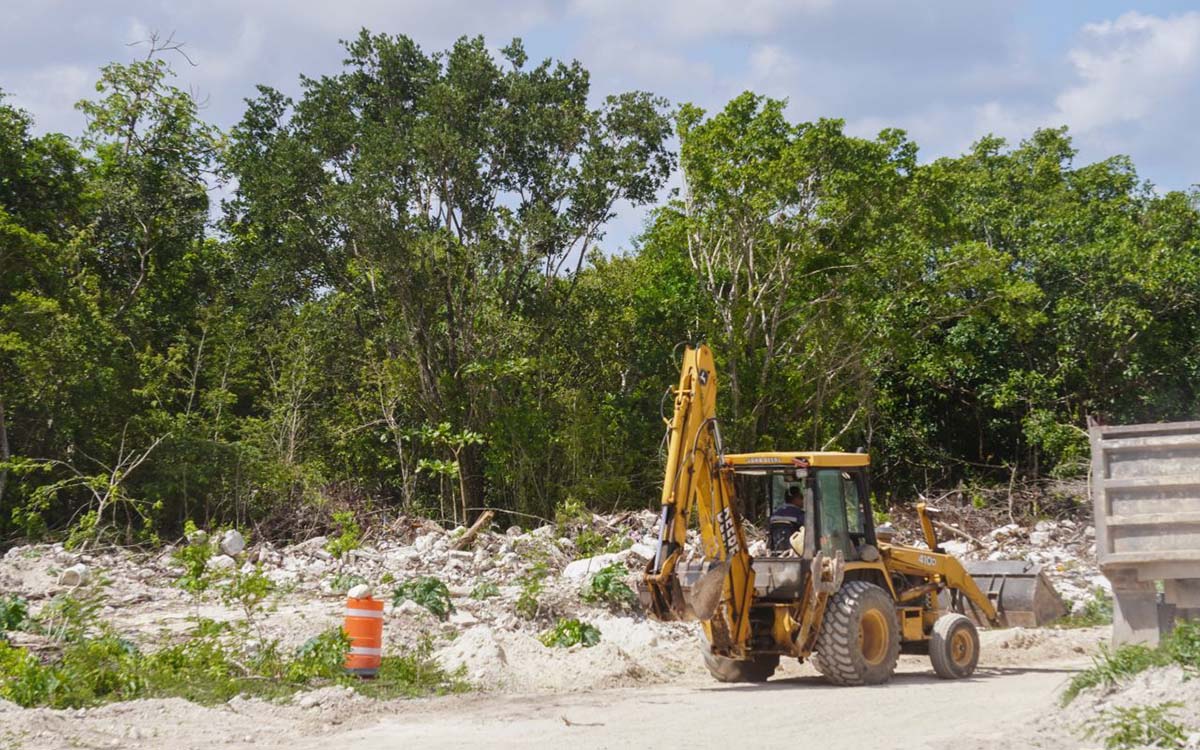 Revocaciones de amparo confirman que Tren Maya se desarrolla con apego a la normatividad ambiental: Semarnat