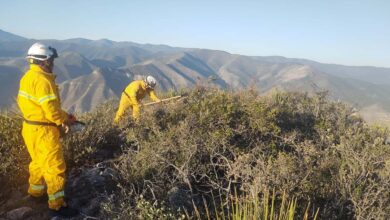 Se registra otro incendio forestal en Nuevo León, ahora en la Sierra de Rayones
