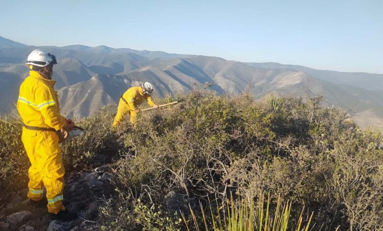 Se registra otro incendio forestal en Nuevo León, ahora en la Sierra de Rayones