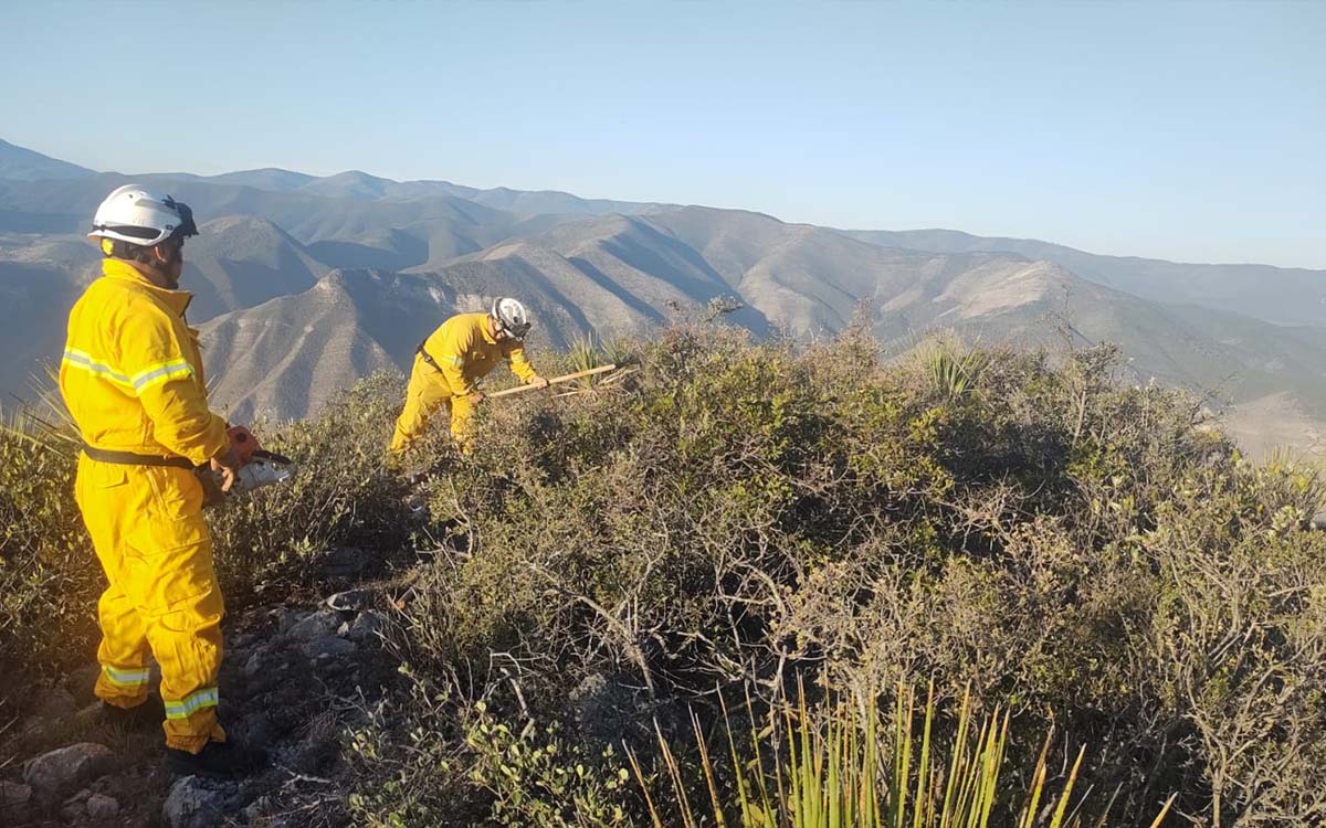Se registra otro incendio forestal en Nuevo León, ahora en la Sierra de Rayones