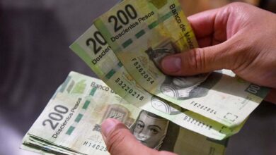 Solo la mitad de las instituciones publica sus compras públicas estatales: IMCO