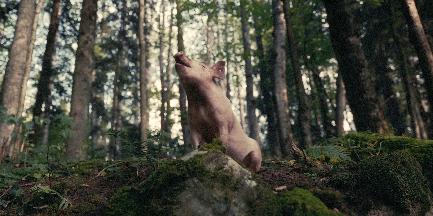 Squeal Trailer revela un cuento de hadas retorcido [EXCLUSIVE]