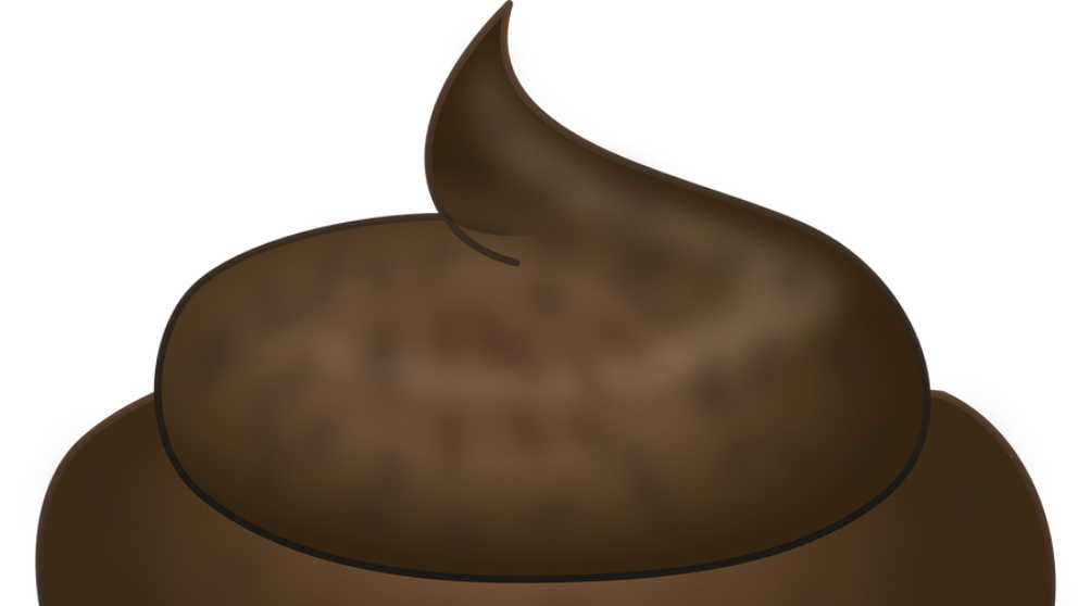 Trasplante fecal: Descubre qué es