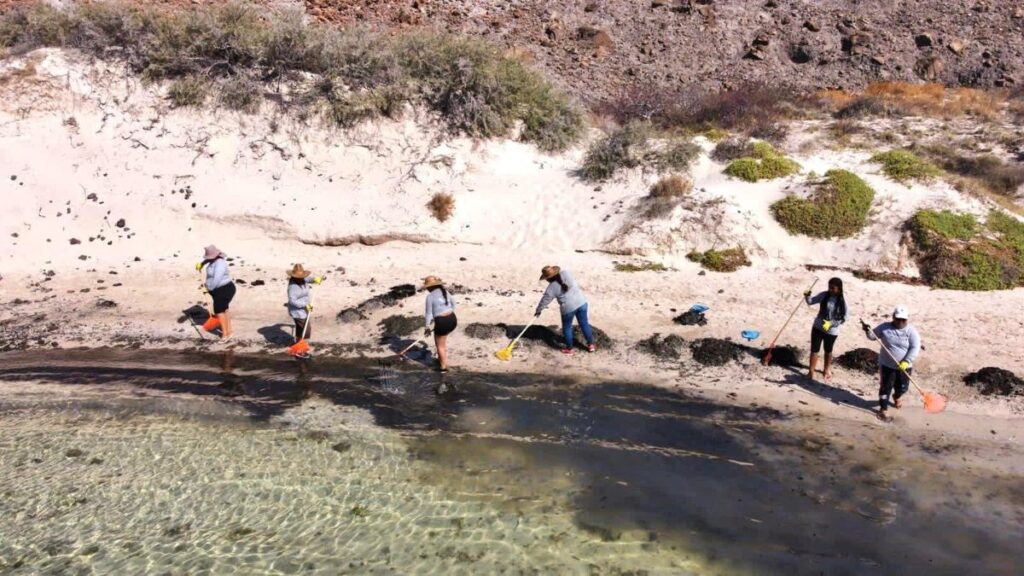 Un vertido “considerable” de hidrocarburos llena de mugre la playa Balandra