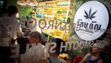 "Vengan a conocer la cultura no sólo a fumar marihuana": el reclamo de Tailandia a turistas