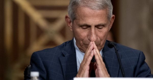 Viruela del mono en Estados Unidos: los consejos de Anthony Fauci, el médico de la Casa Blanca