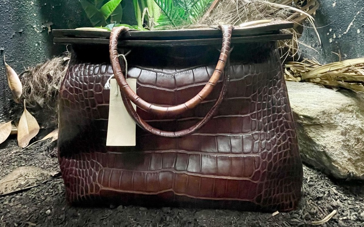 Zoológico de Londres exhibe bolsa de piel de cocodrilo siamés en vez del animal en peligro de extinción