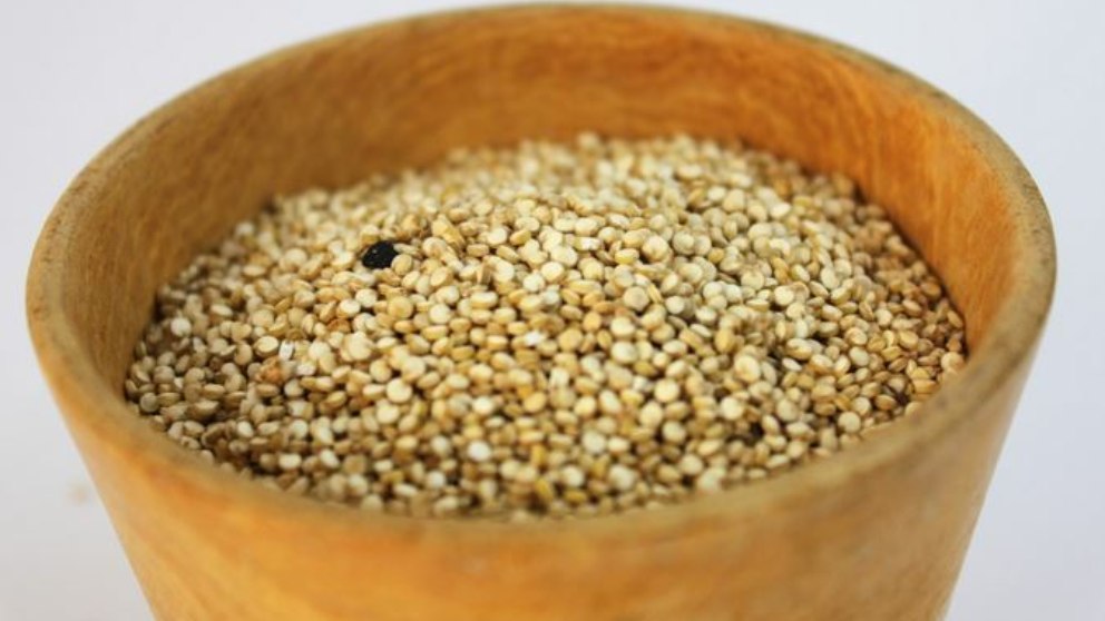 beneficios, usos y contradicciones de este género de hierba