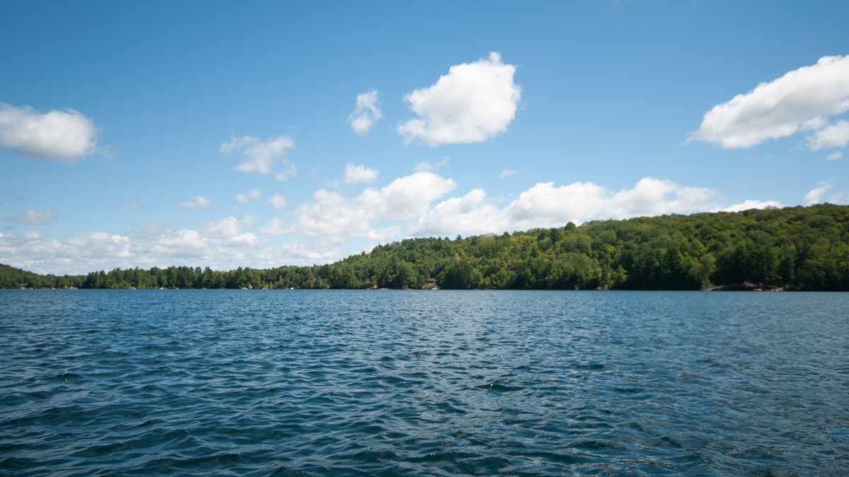 sospechan que niño murió por ameba comecerebros