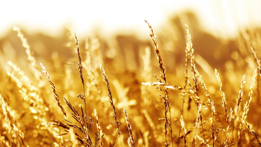 ¿Cuándo es el solsticio de verano 2019?