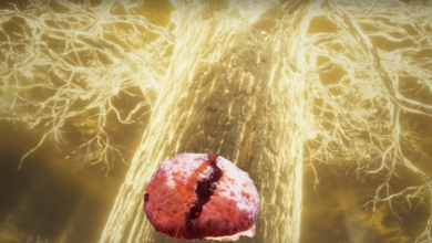¿Es el Erdtree o el Haligtree Elden Ring el verdadero parásito?
