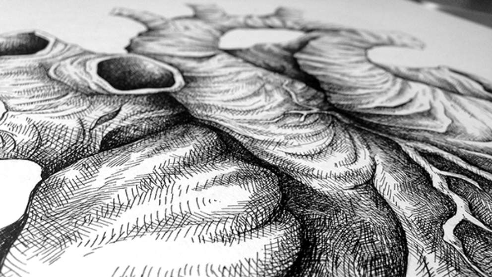 ¿Qué es la bradicardia? Tu salud podría estar en peligro