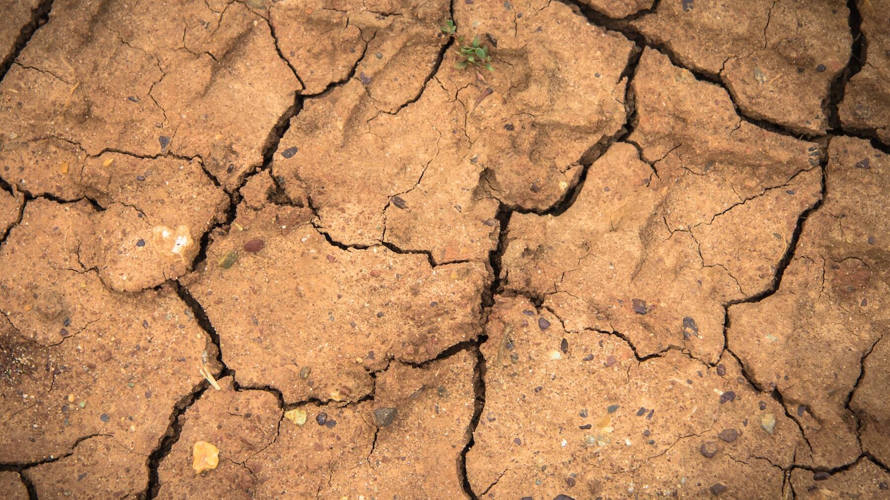 ¿Qué son las Piedras del Hambre? El misterio destapado por la sequía