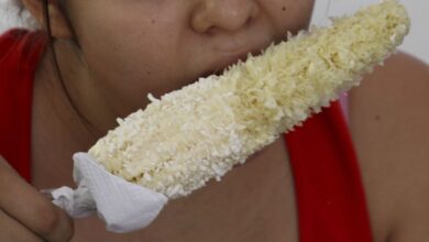 ¿Te interesa? Un año de elotes gratis, la recompensa por dar con ladrones de tienda en Monterrey