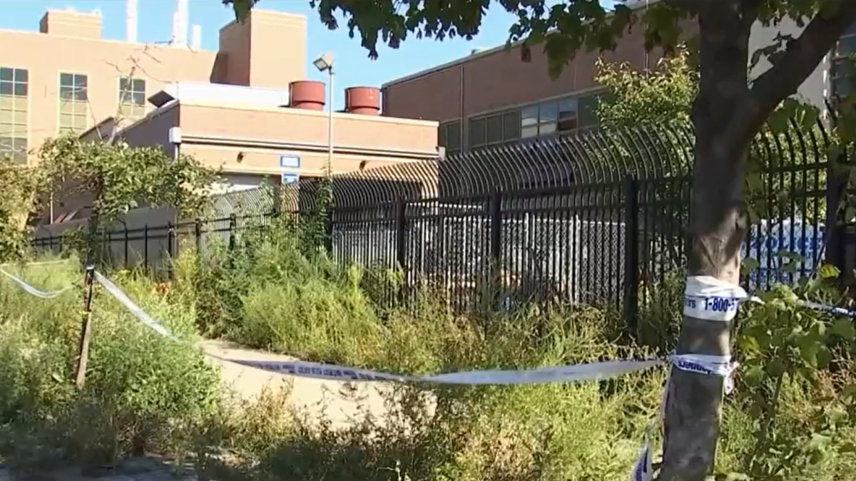 más posibles restos humanos hallados en planta