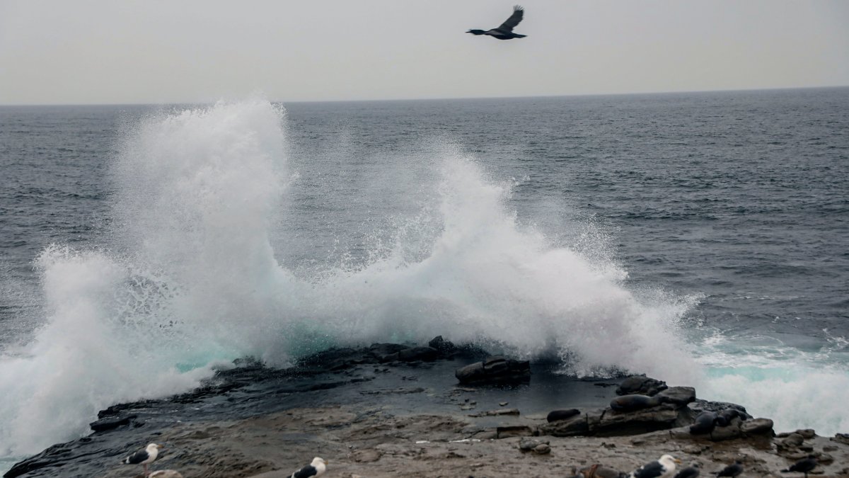ráfagas con fuerza de huracán se sienten en California