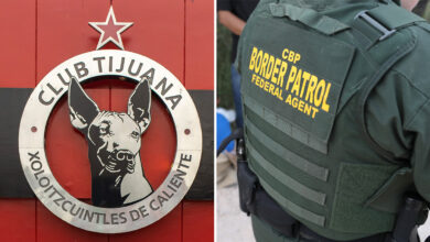 Acusan a jugador profesional de fútbol de traficar personas a EEUU