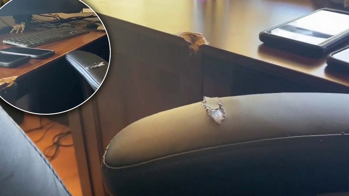 bala perdida casi impacta a niño mientras jugaba videojuegos