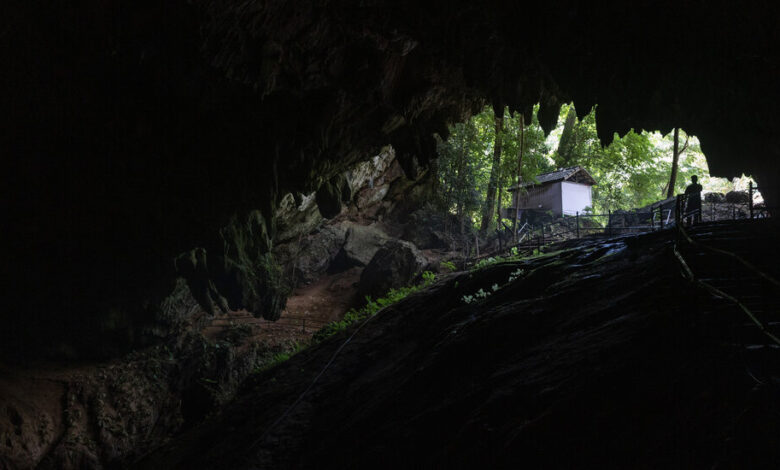 4 años después del emocionante rescate en una cueva, Sleepy Park se prepara para la embestida