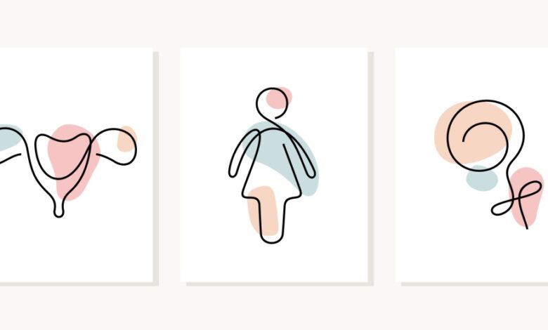 8 inversores discuten lo que les espera a las nuevas empresas de salud reproductiva en un mundo posterior a Roe