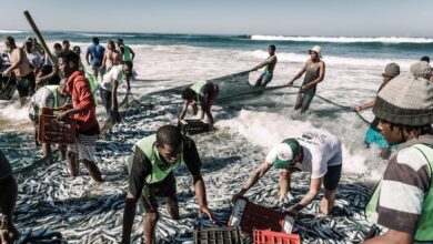 Aldeanos sudafricanos ganan juicio para detener la exploración petrolera de Shell