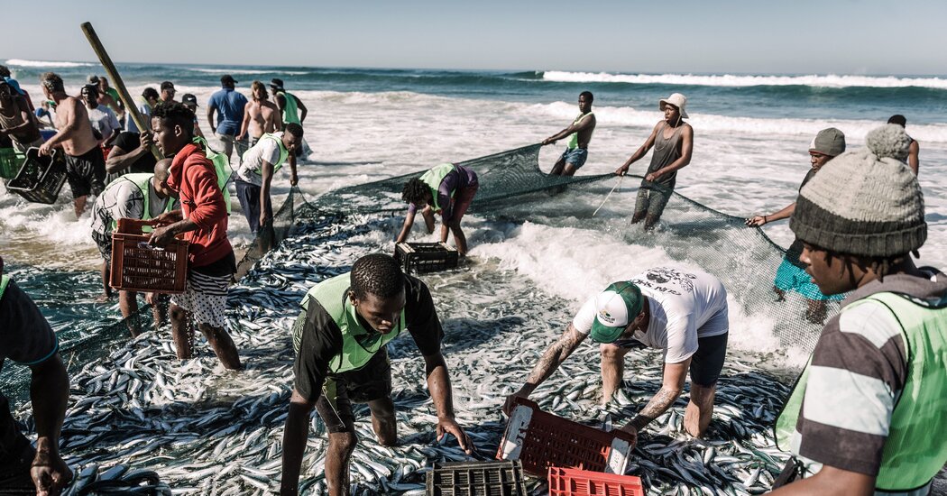 Aldeanos sudafricanos ganan juicio para detener la exploración petrolera de Shell