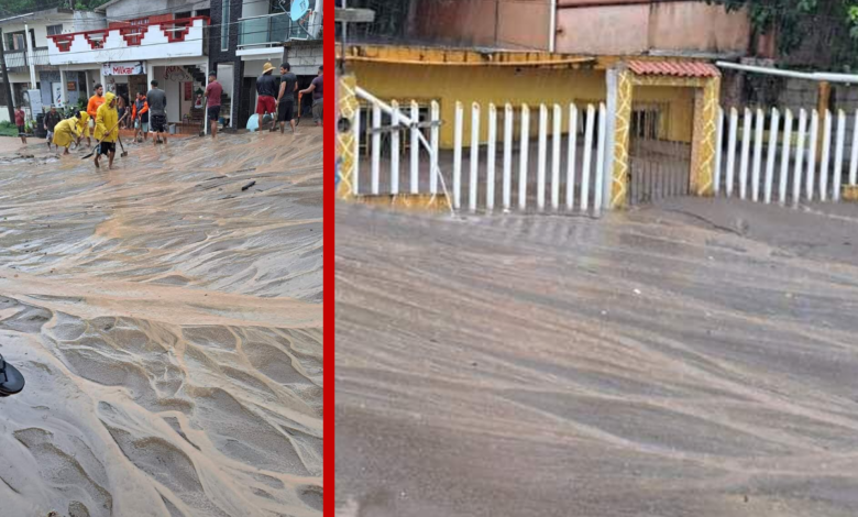 Arena tapiza calles de Alvarado, Veracruz; 600 viviendas afectadas | Fotos y videos