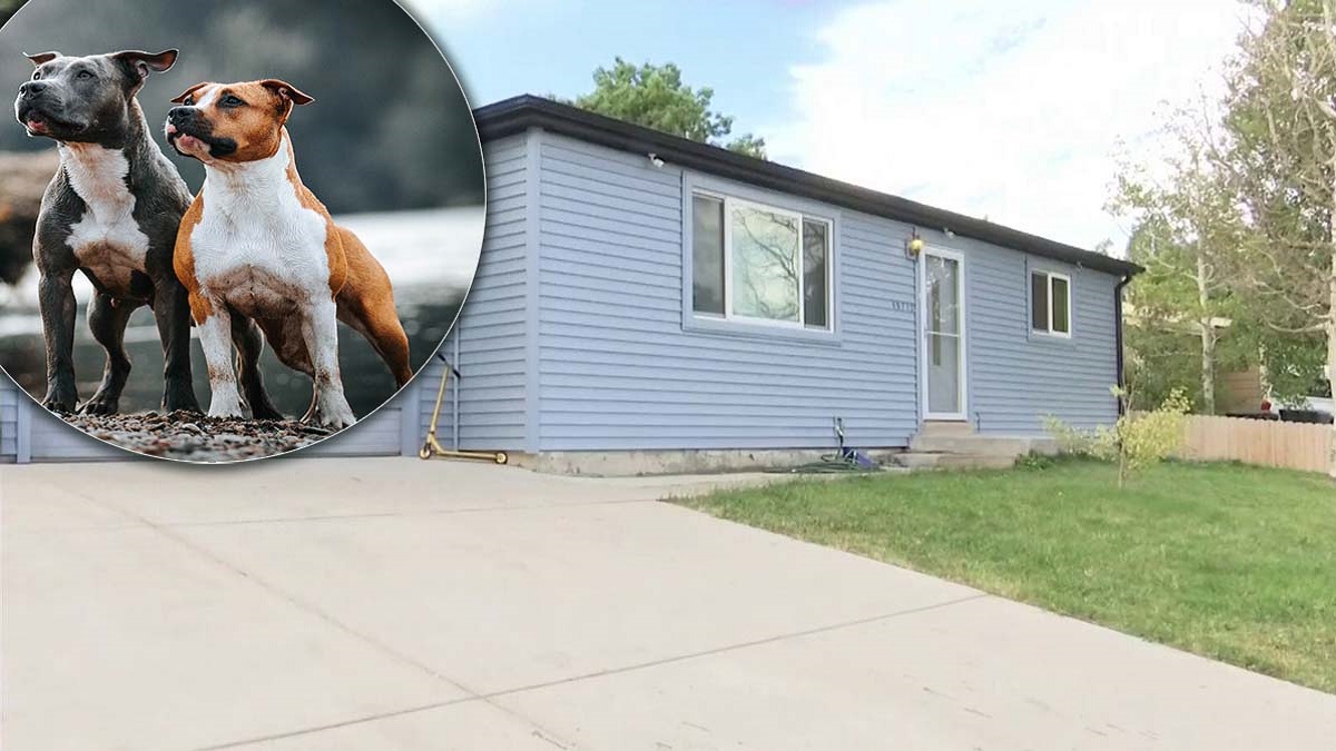 Brutal ataque de dos Pit Bulls deja a una abuela y su nieto hospitalizados